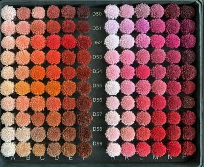 Commercial Wall To Wall Axminster Carpet high quality